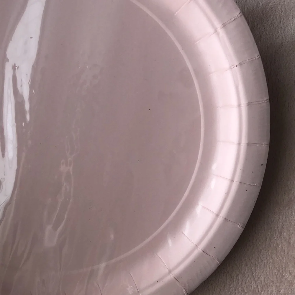 Light Pink Paper Plate